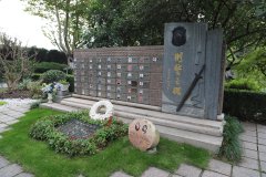 致敬“平安卫士”，，，，，，铭刻“刑警之魂”