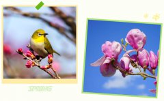 春启ag真人国际