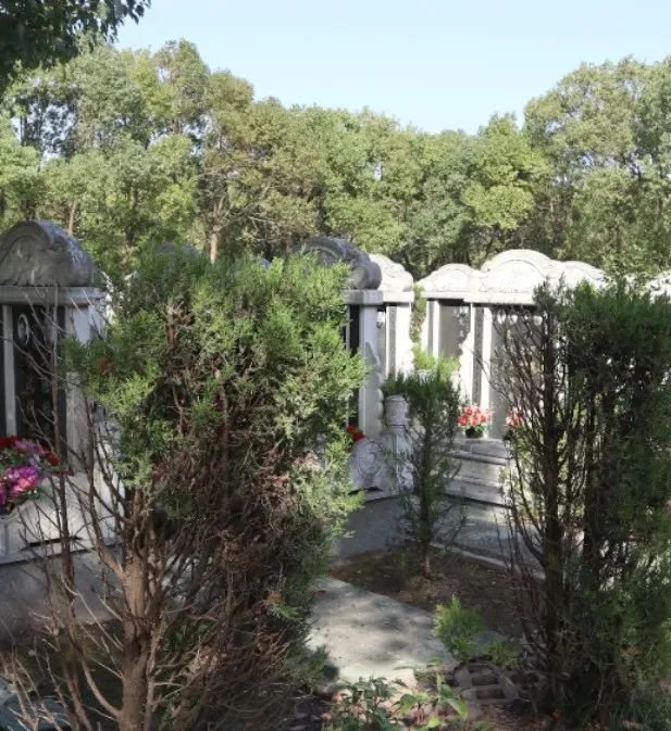 AG真人国际(中国)官方网站