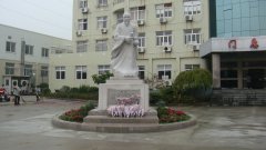 石雕匠心，，，，，，镌刻医者风华