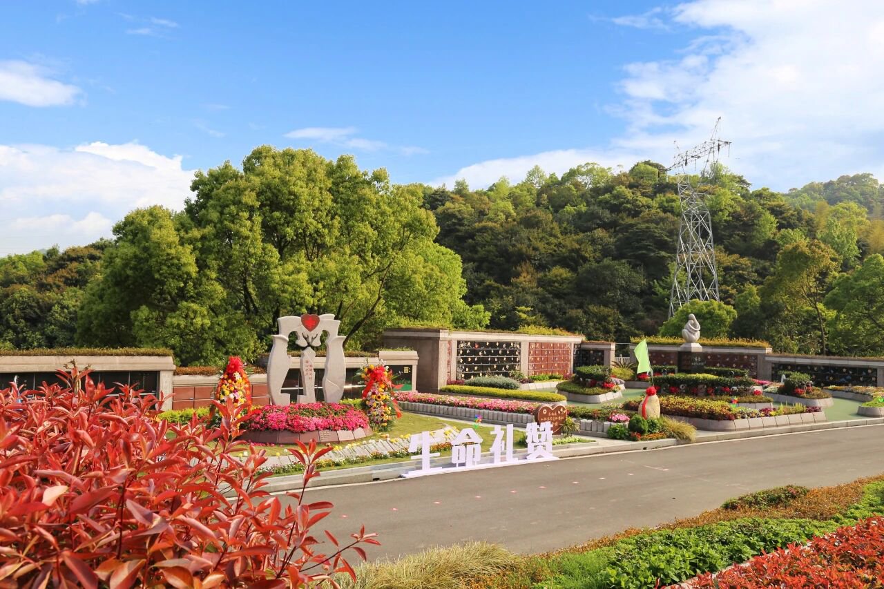 AG真人国际(中国)官方网站