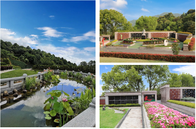 AG真人国际(中国)官方网站