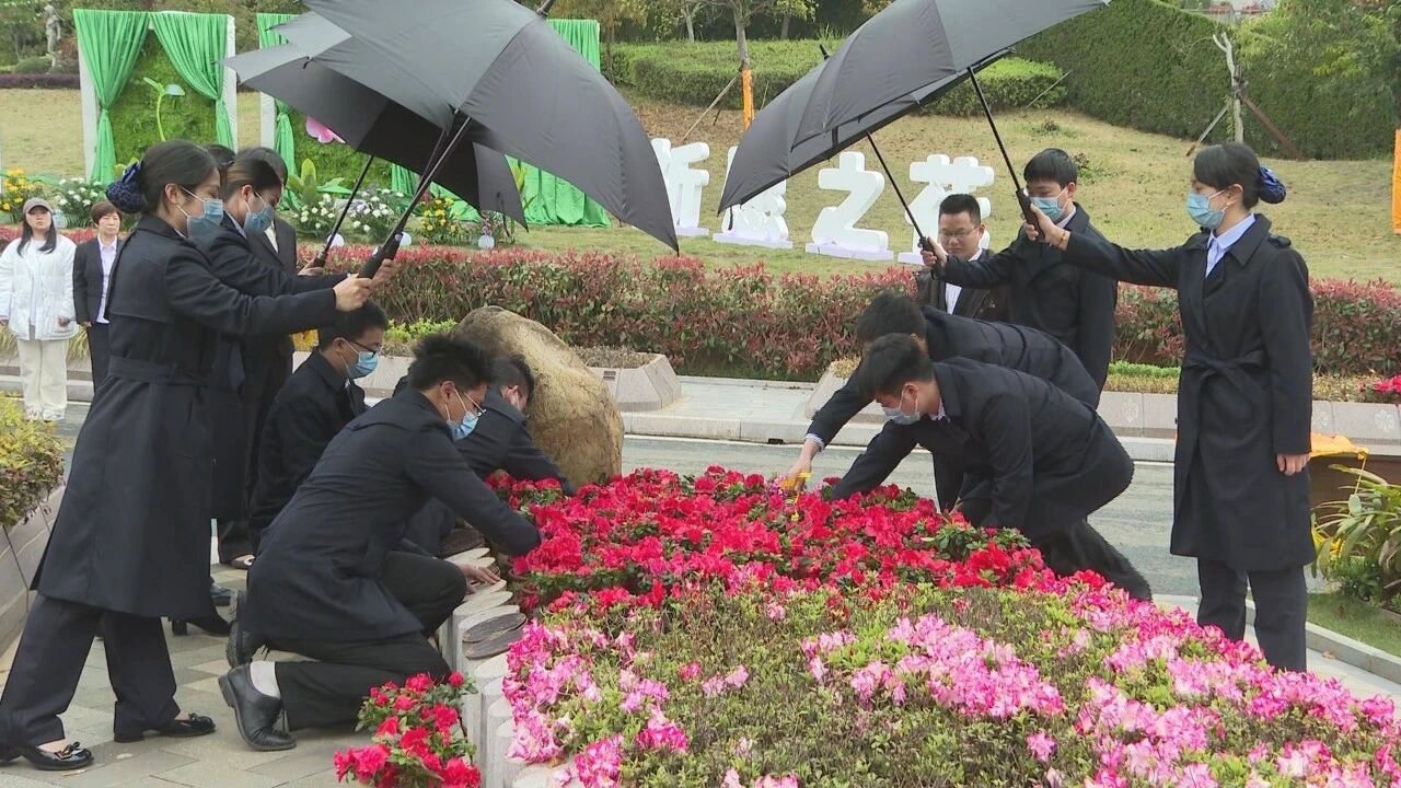 AG真人国际(中国)官方网站