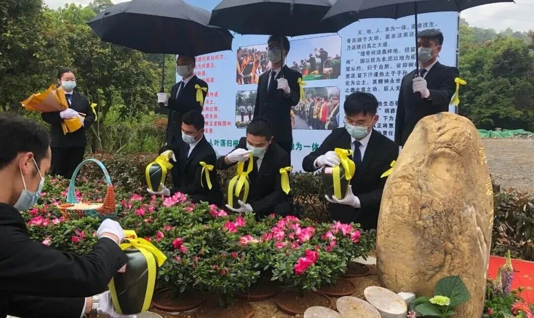 AG真人国际(中国)官方网站