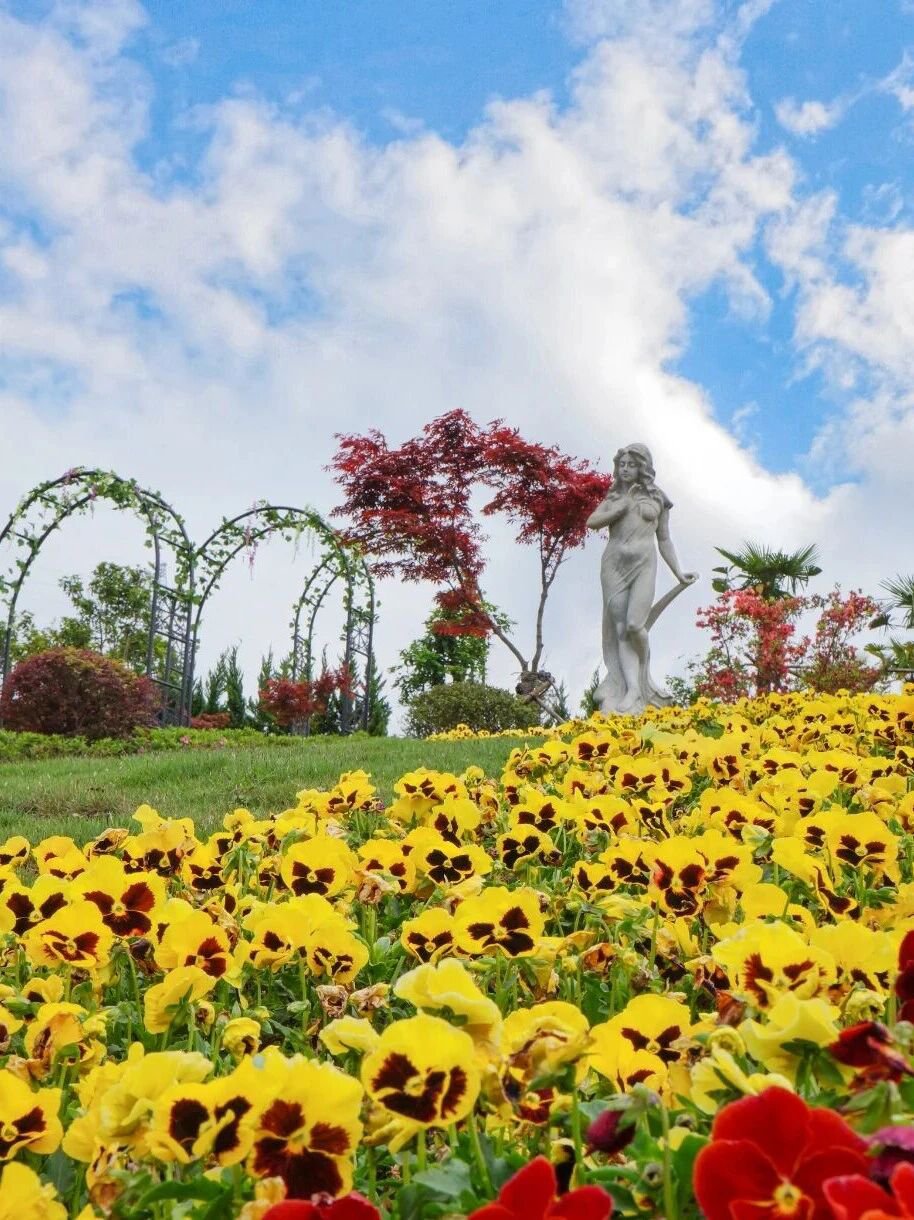 AG真人国际(中国)官方网站