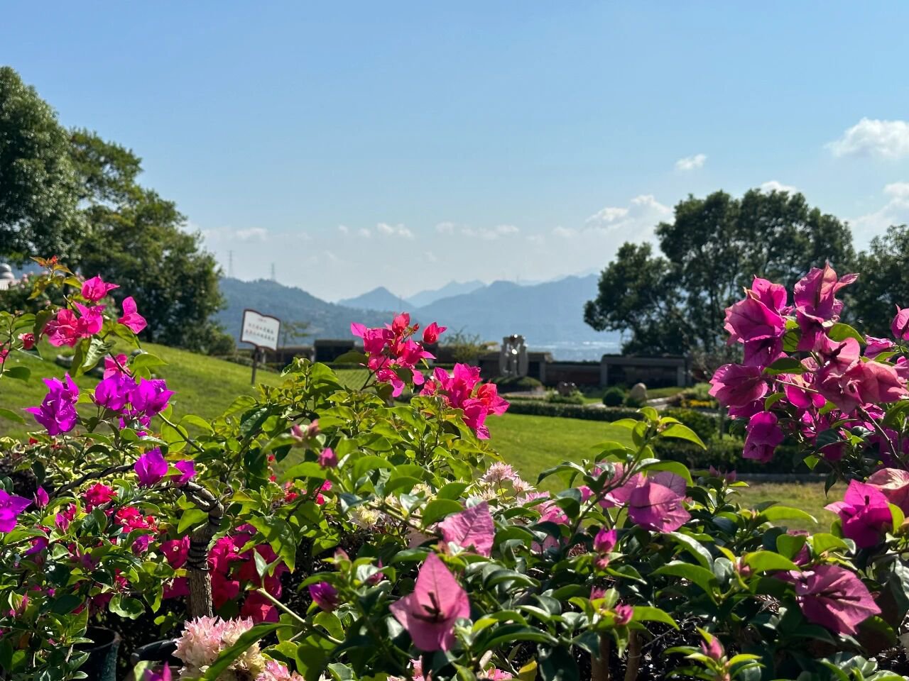 AG真人国际(中国)官方网站