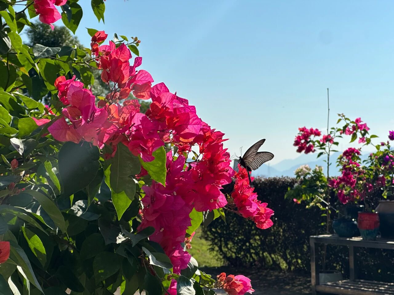 AG真人国际(中国)官方网站