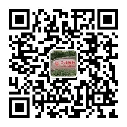 AG真人国际(中国)官方网站