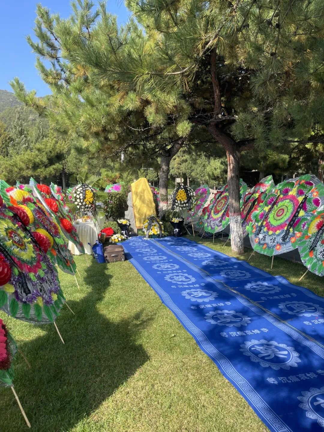 AG真人国际(中国)官方网站