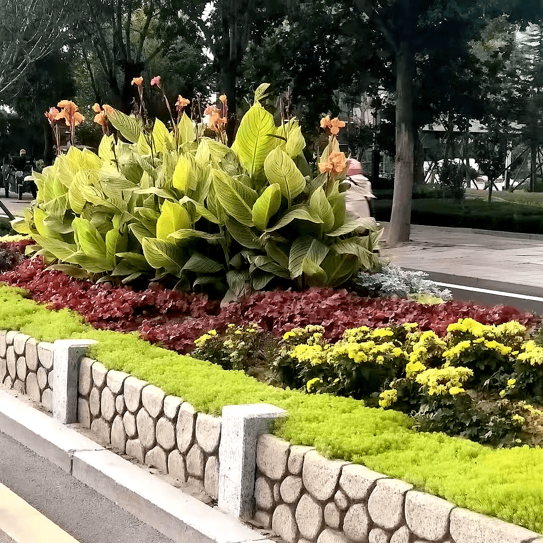 AG真人国际(中国)官方网站