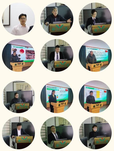 AG真人国际(中国)官方网站