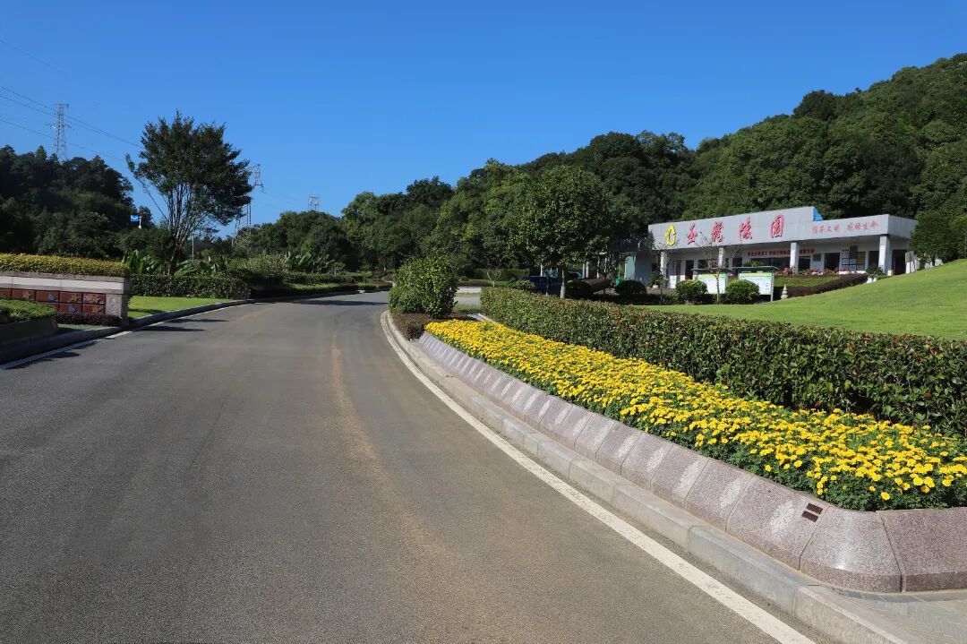 AG真人国际(中国)官方网站