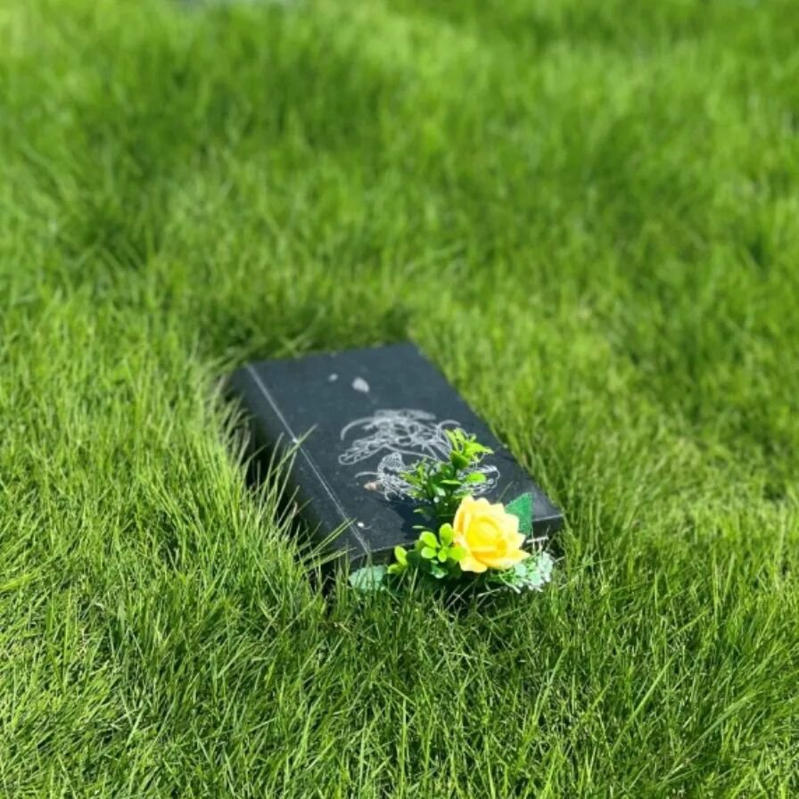 AG真人国际(中国)官方网站